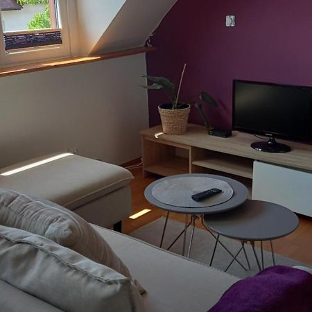 Ferienwohnung Domek Pod Sosnami Pokoje 2-3 Osobowe Großmöllen Exterior foto